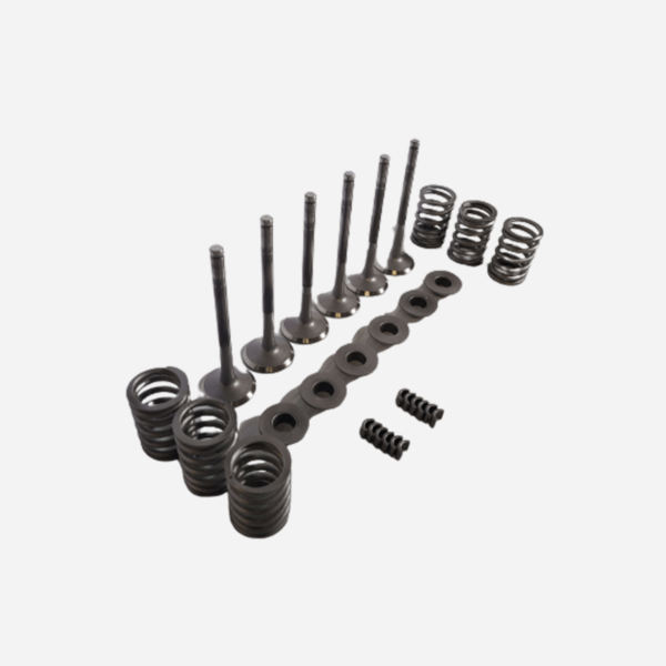 PATROL 3.3 DIESEL Kit soupapes échappement