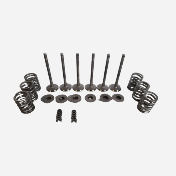 PATROL 3.3 DIESEL Kit soupapes échappement – Image 2